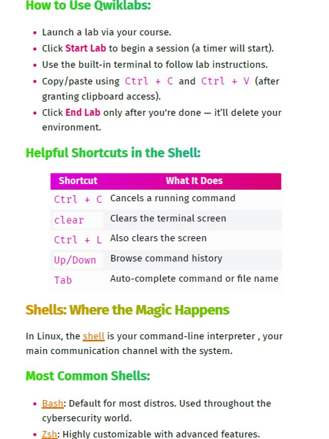 Google Cyber Security Professional Certificate Study Notes (Unofficial) product image (5)