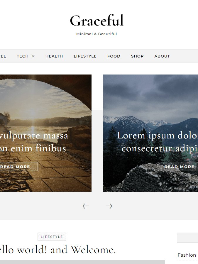 Graceful Pro Theme + 1 Year Support product image (1)