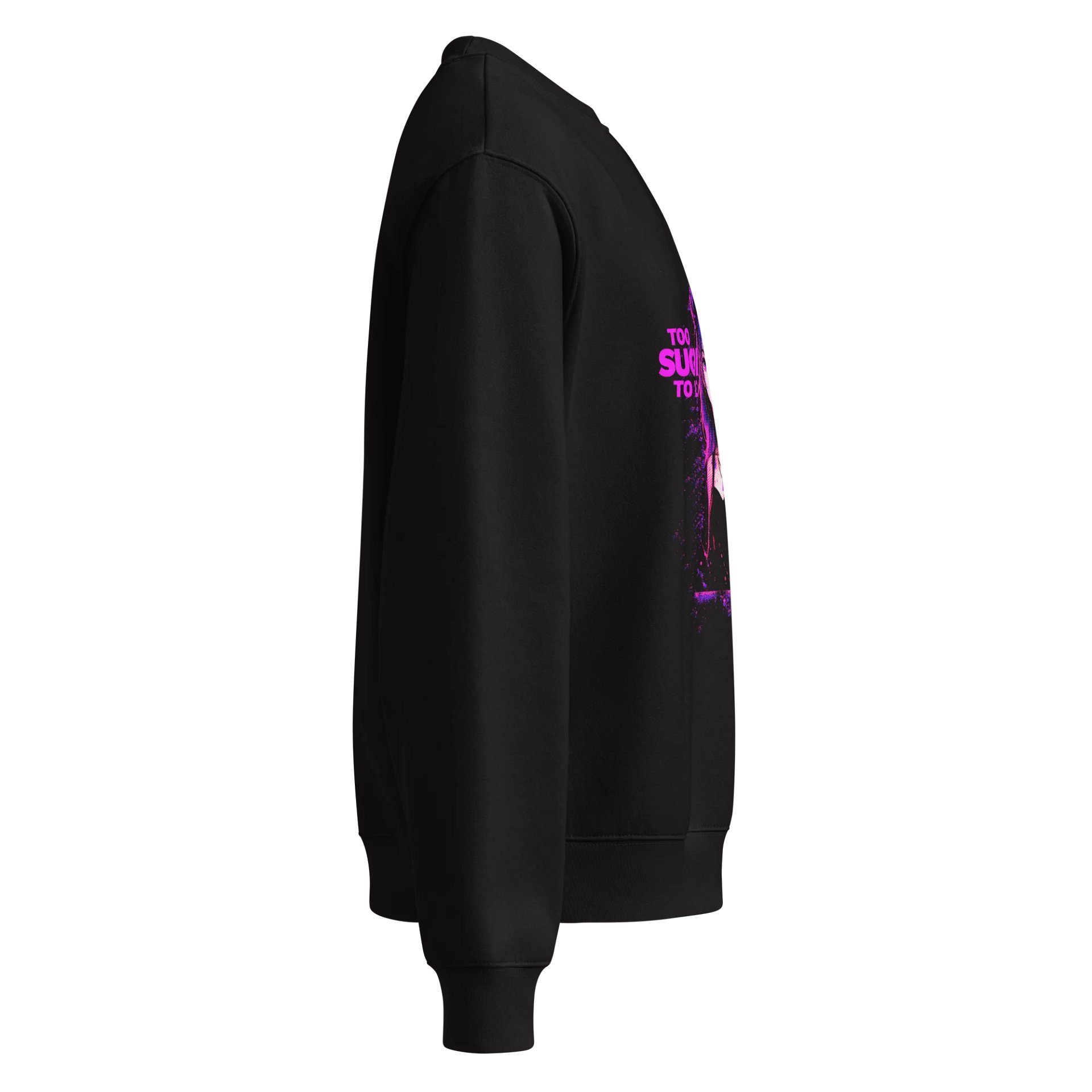 Too Sugoi/Too Kawaii Painted Frame Sweatshirt product image (4)