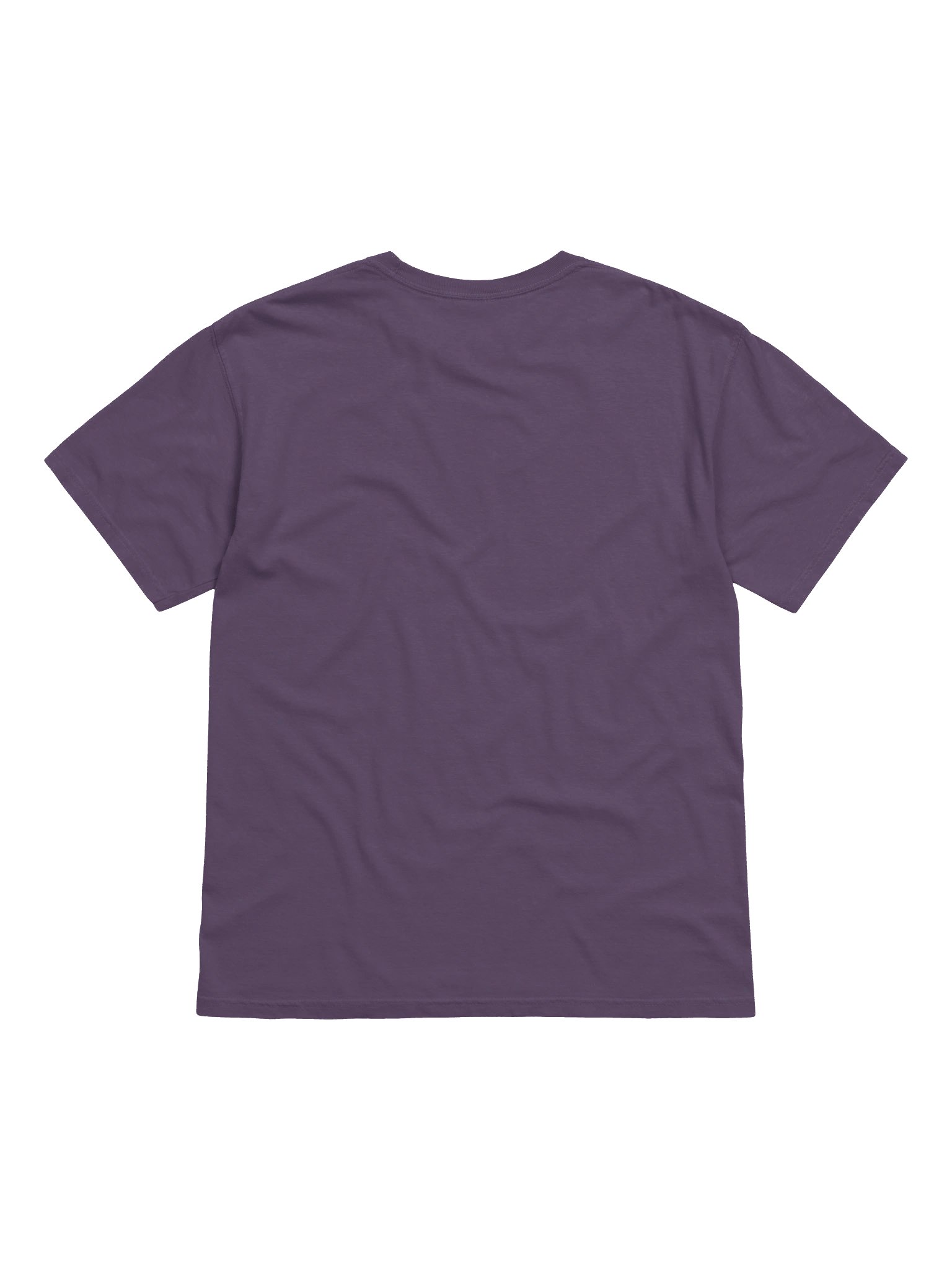 Pixel Dragon Heavyweight Comfort Tee product image (2)