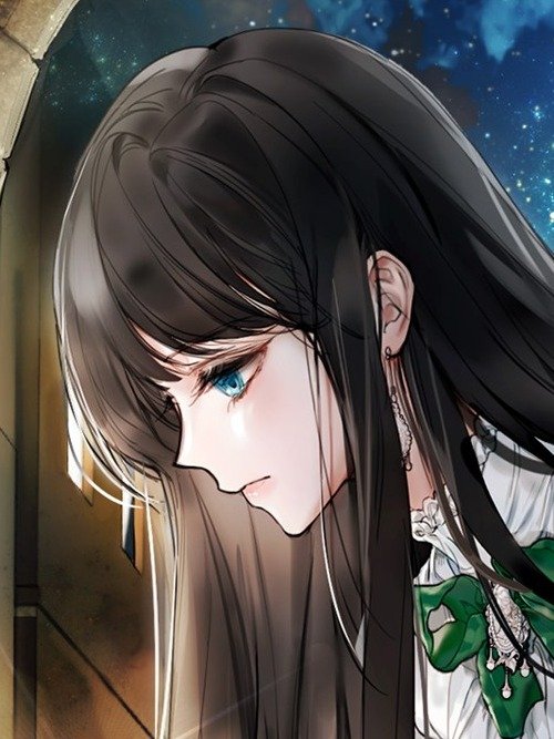 The Villainess Wishes for Redemption 1 product image (1)