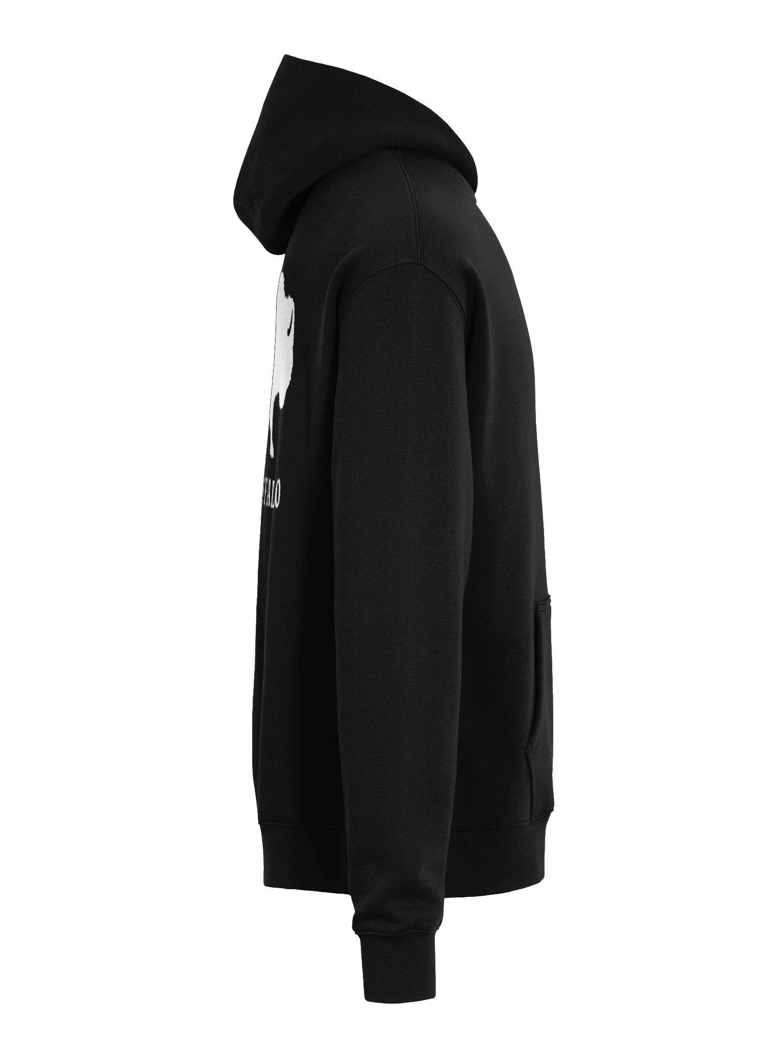 BE THE BUFFALO HOODIE product image (7)