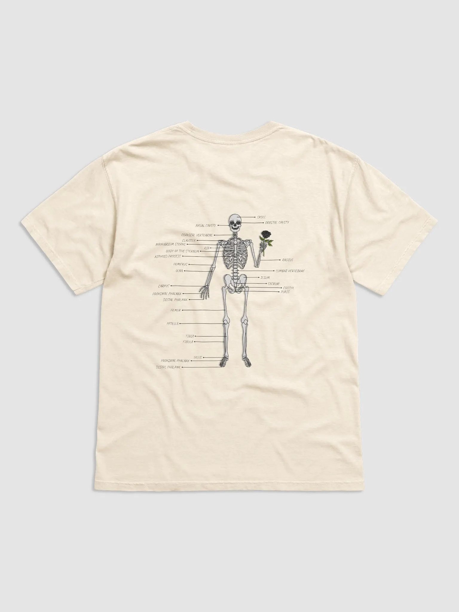 Hello and Welcome T-Shirt product image (1)