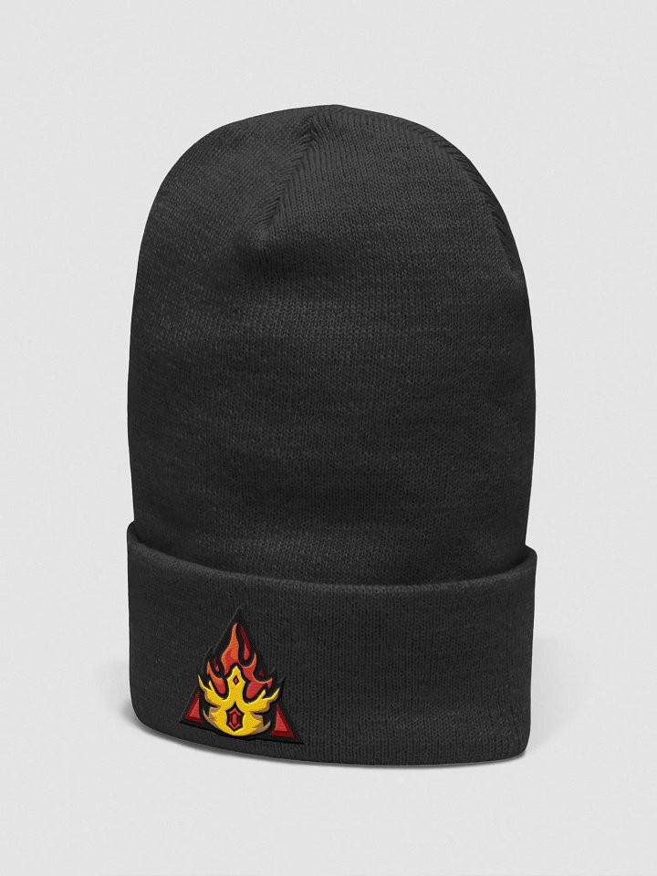 Beanie product image (2)