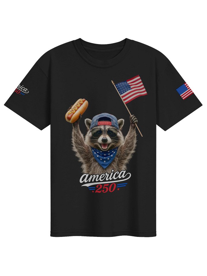 America 250th Independence Racoon T-Shirt product image (1)