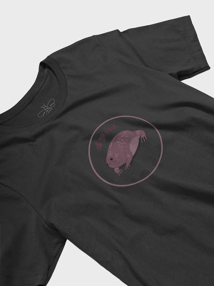 Níl Go Dona (Not Bad) Desert Rain Frog T-shirt product image (2)
