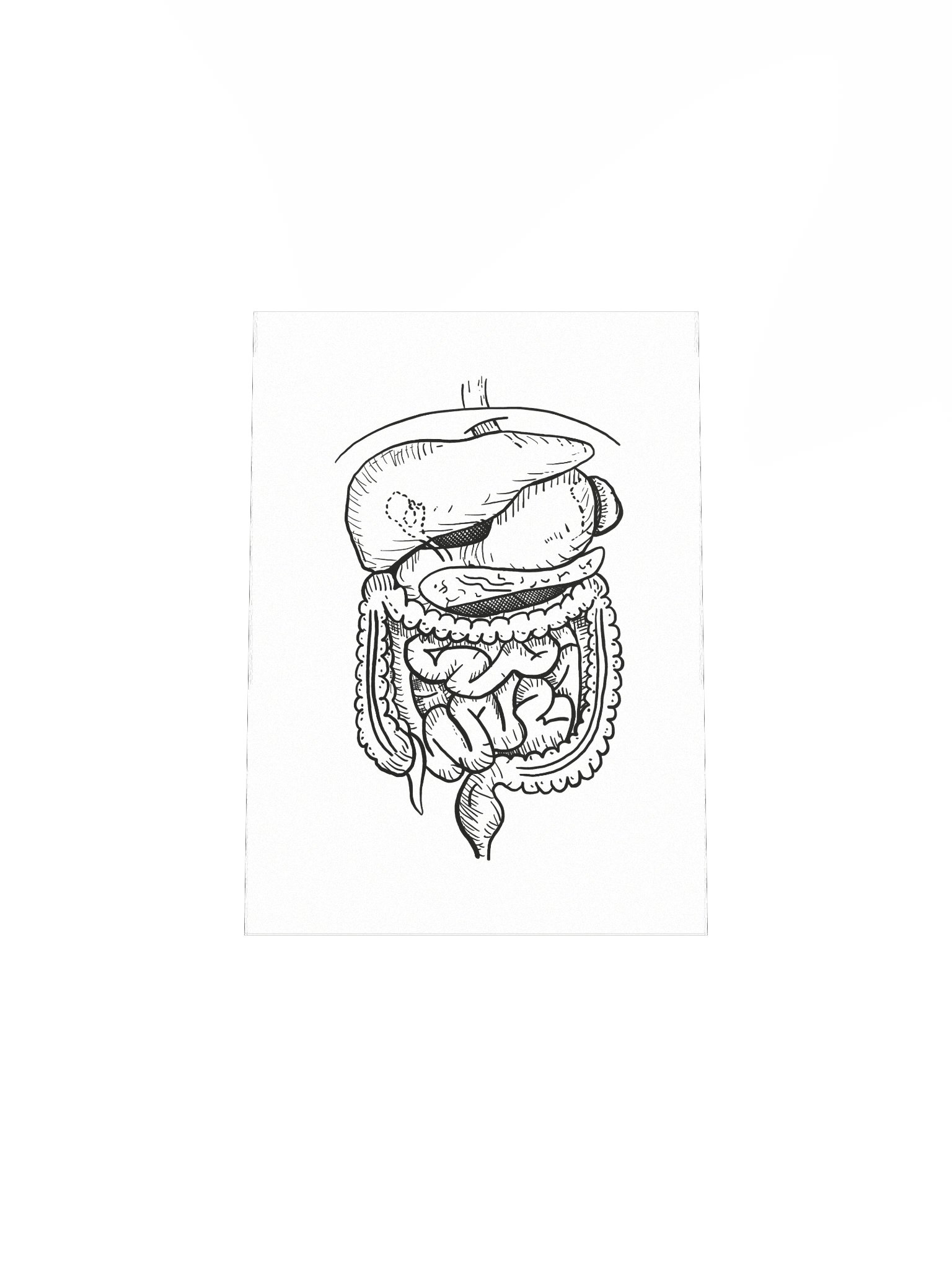 GI Tract Matte Poster product image (19)