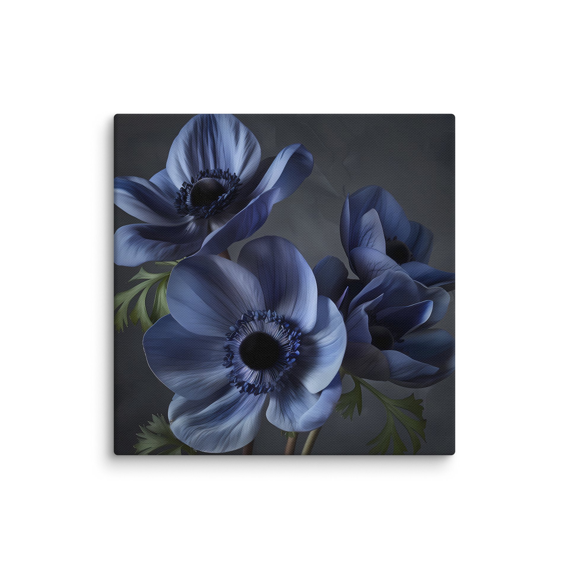 Convergence | Nocturne Anemone II - Canvas product image (1)