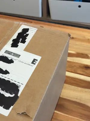 Darwin’s Journey is here!!