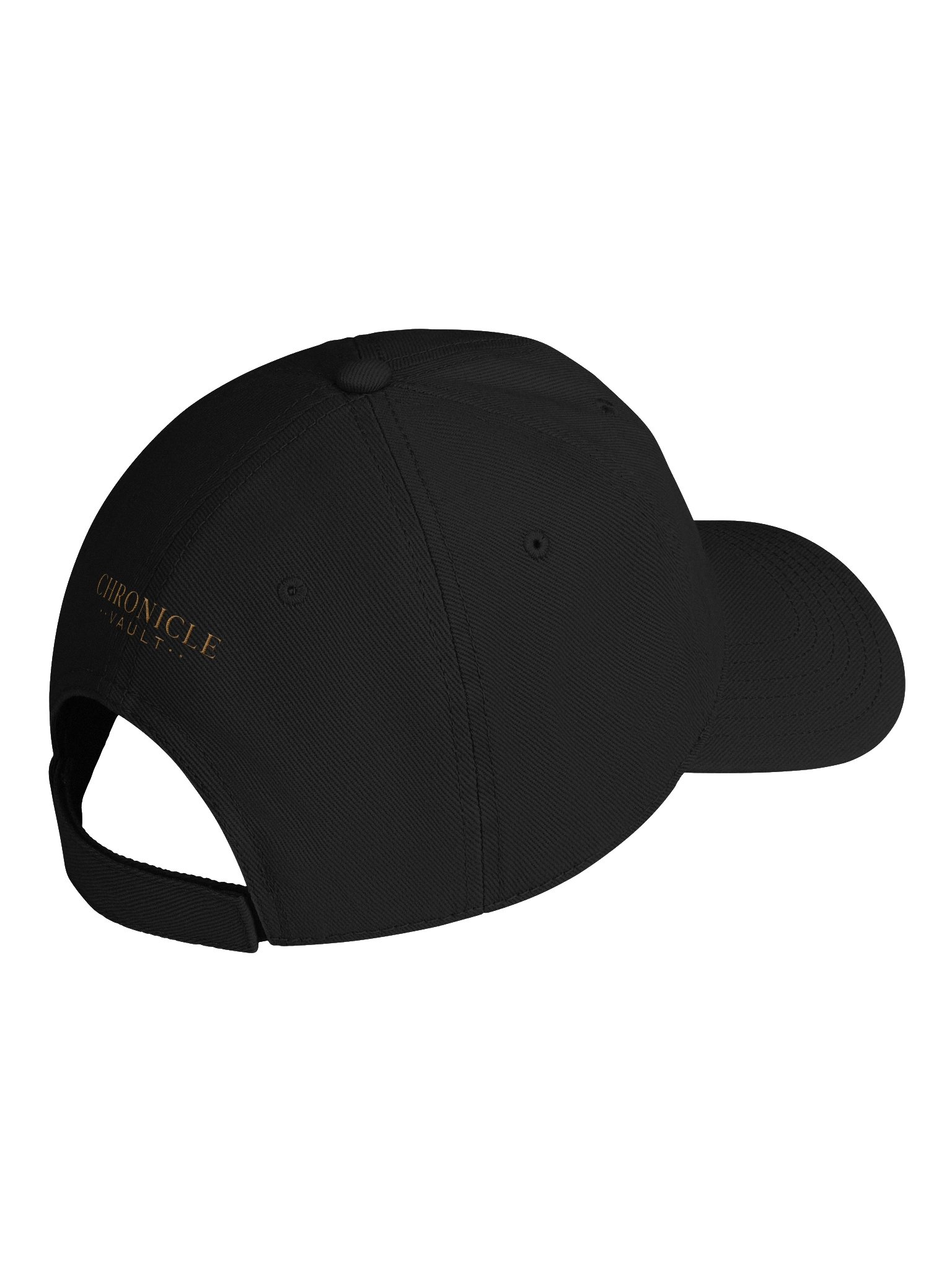 Chronicle Vault baseball hat product image (4)