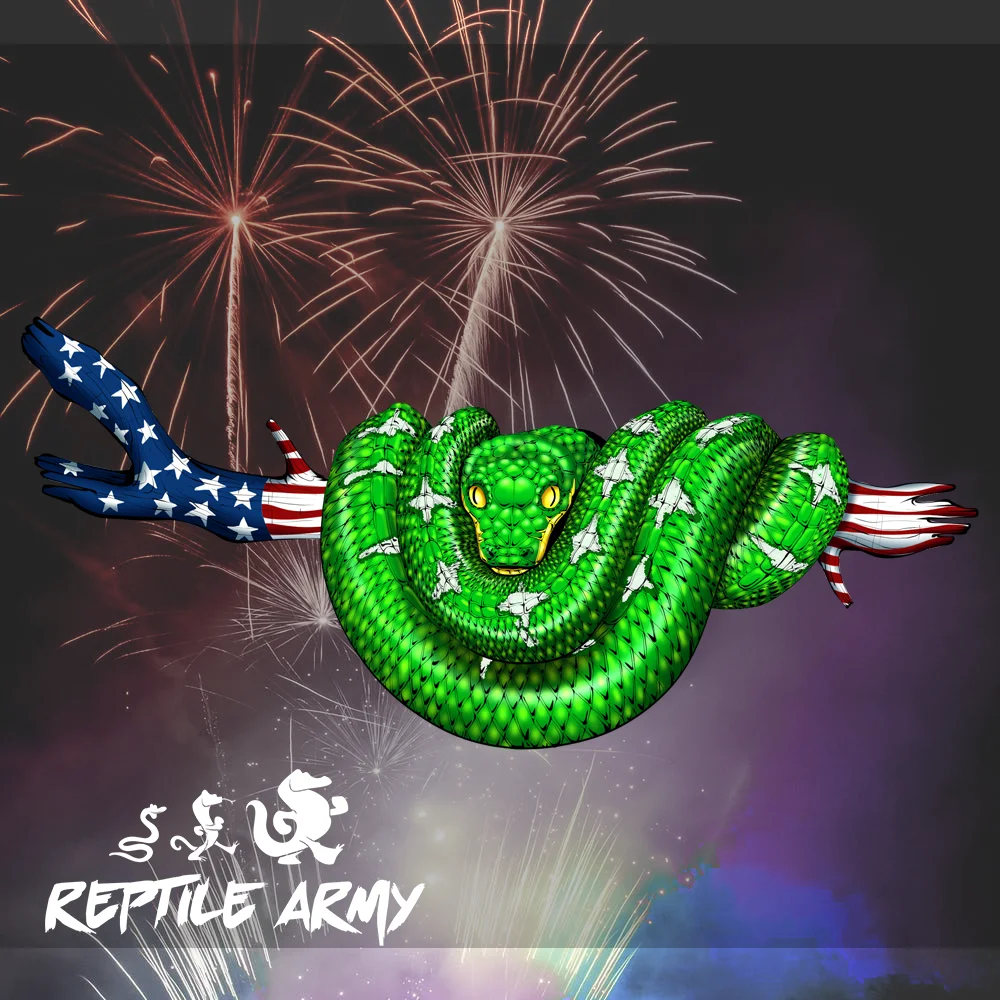 4th of July Snake T-Shirt product image (3)