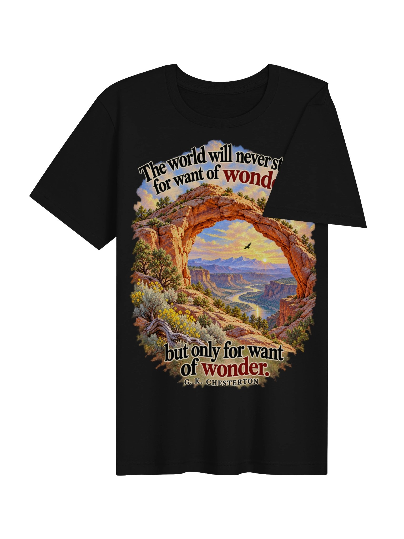 Want of Wonders T-shirt product image (42)