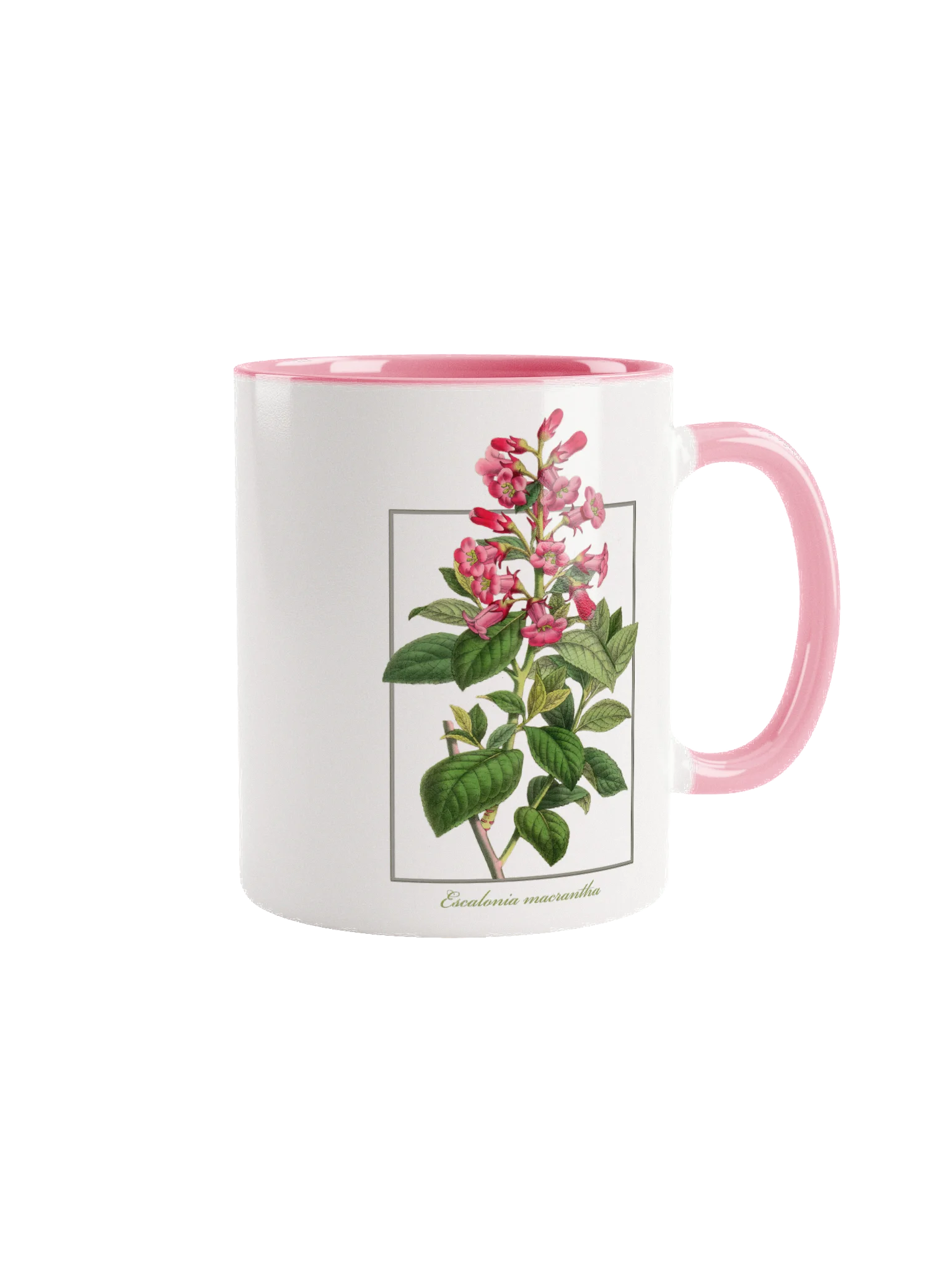 Escalonia Flower - ceramic mug product image (1)