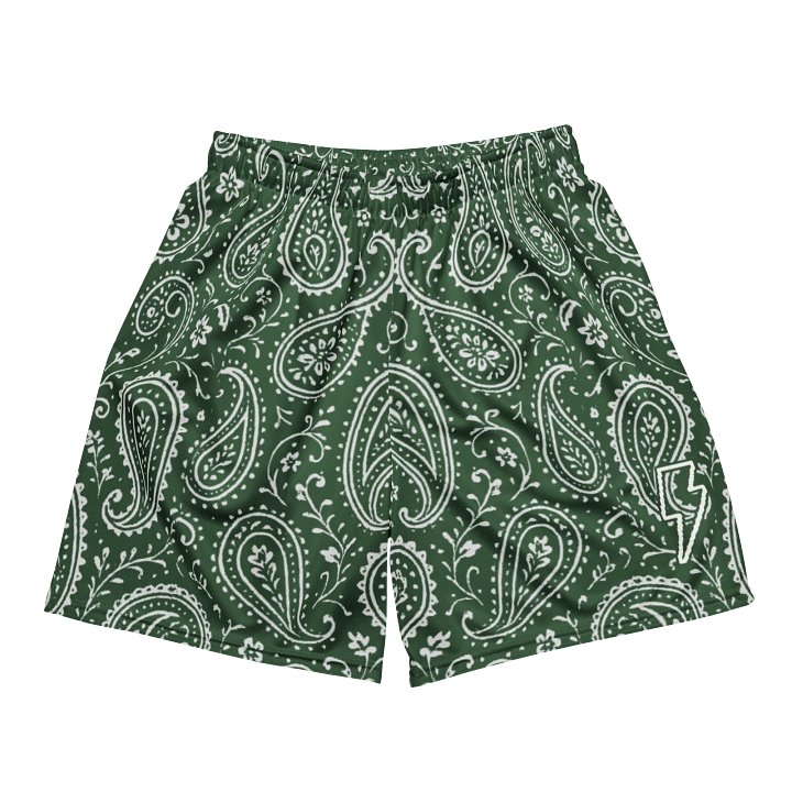 Paisley Mesh Shorts (Hunter Green/Ash) product image (2)