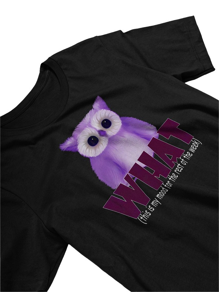 Women's Bella+Canvas Supersoft T-Shirt product image (2)
