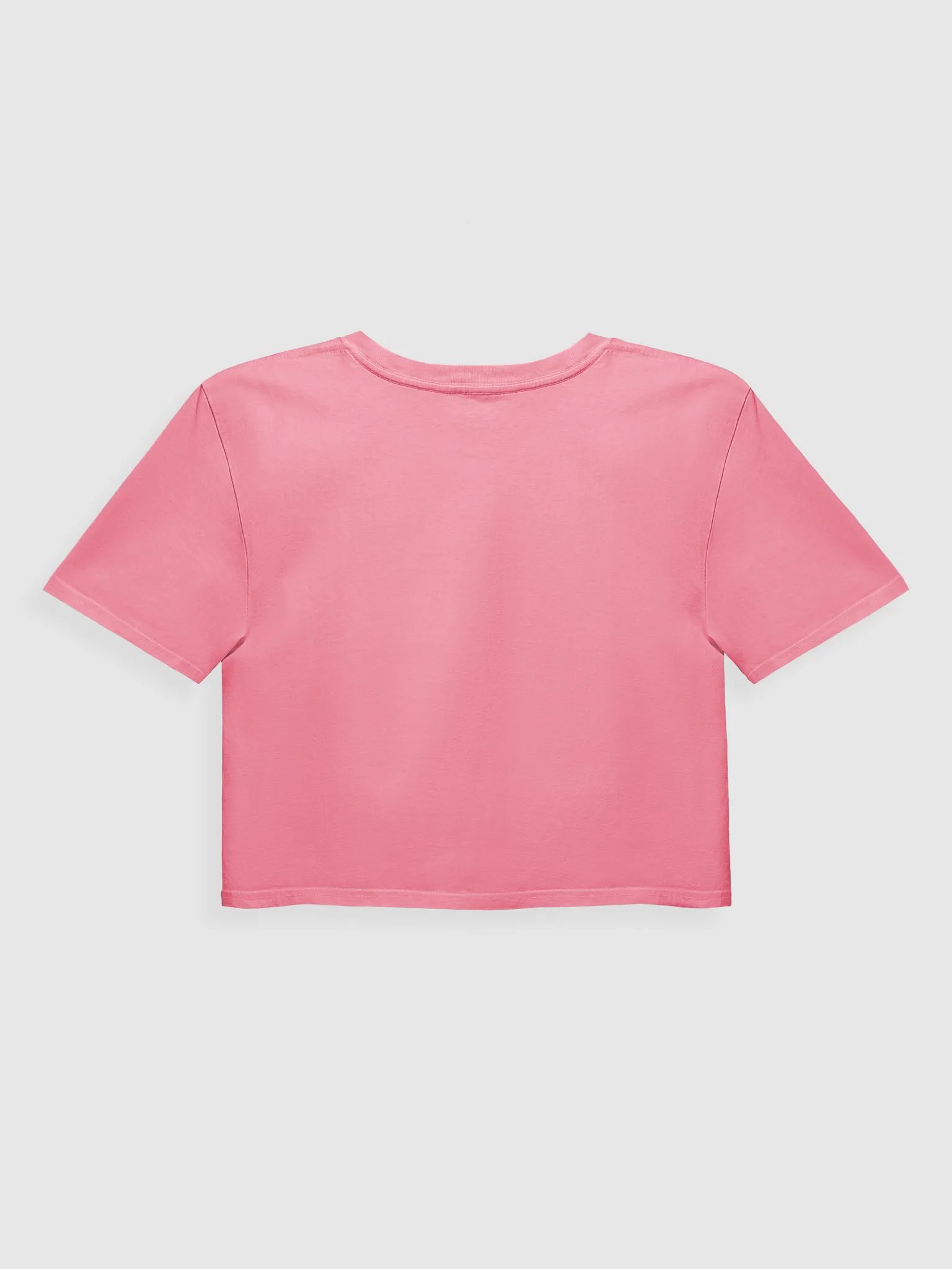 CS Crop Top Tee product image (2)