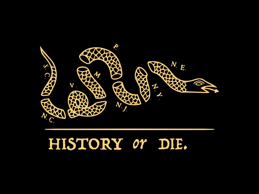 History or Die Picnic Blanket product image (1)