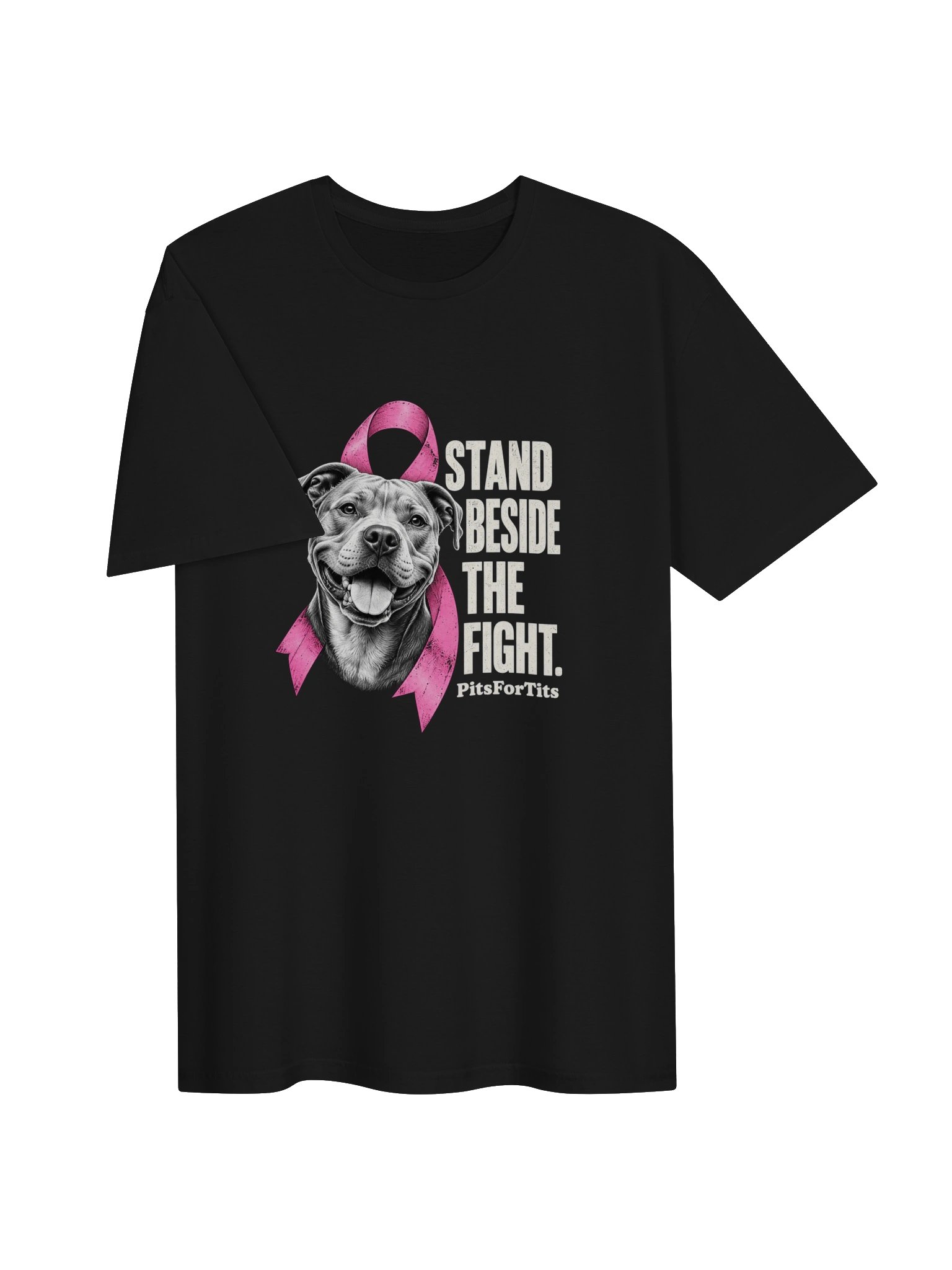 STAND BESIDE THE FIGHT. product image (19)