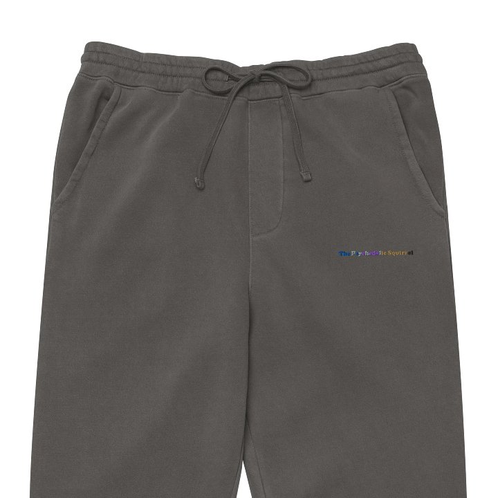The Psychedelic Squirrel Pants product image (1)