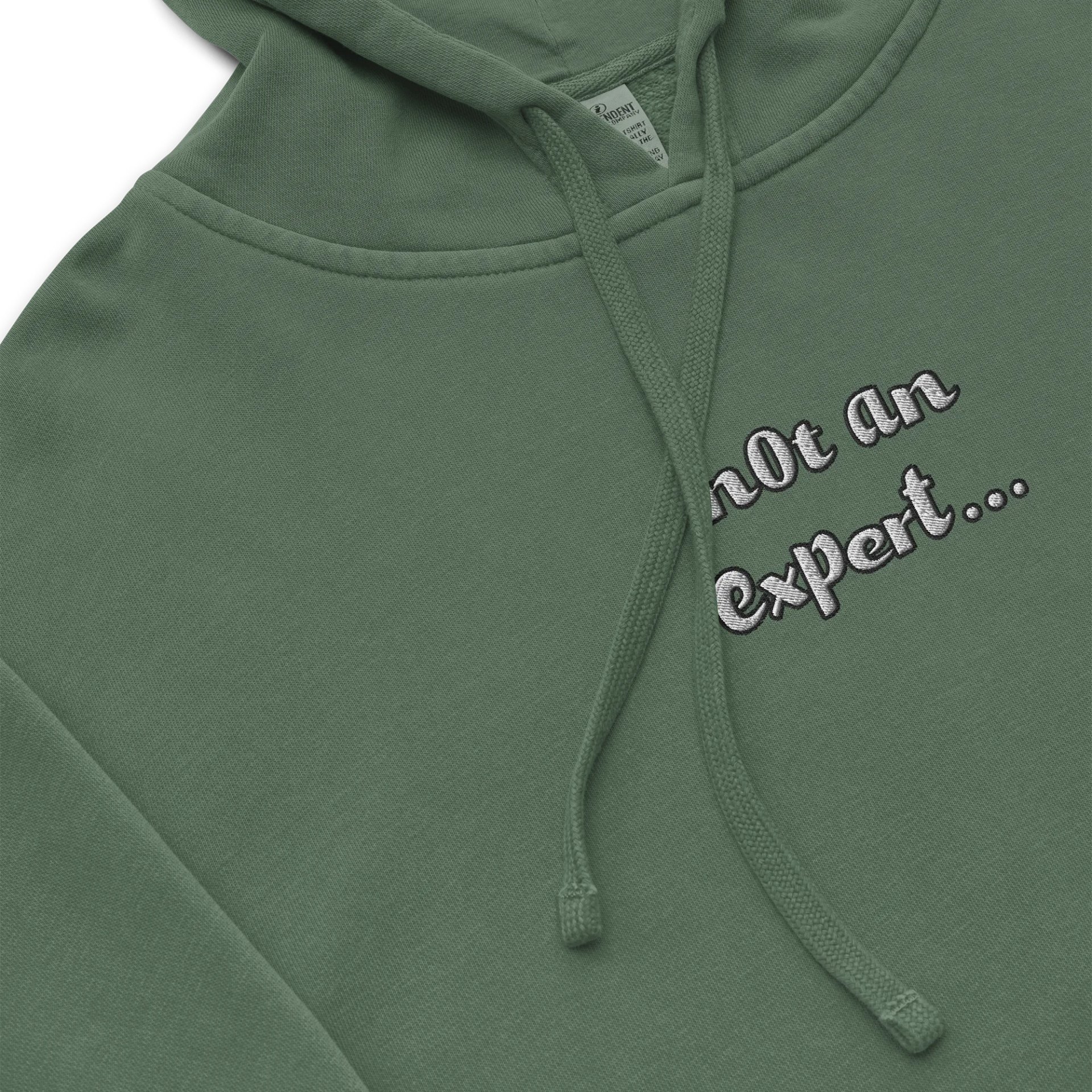 "not an expert..." Official Heavy Weight Hoodie product image (5)