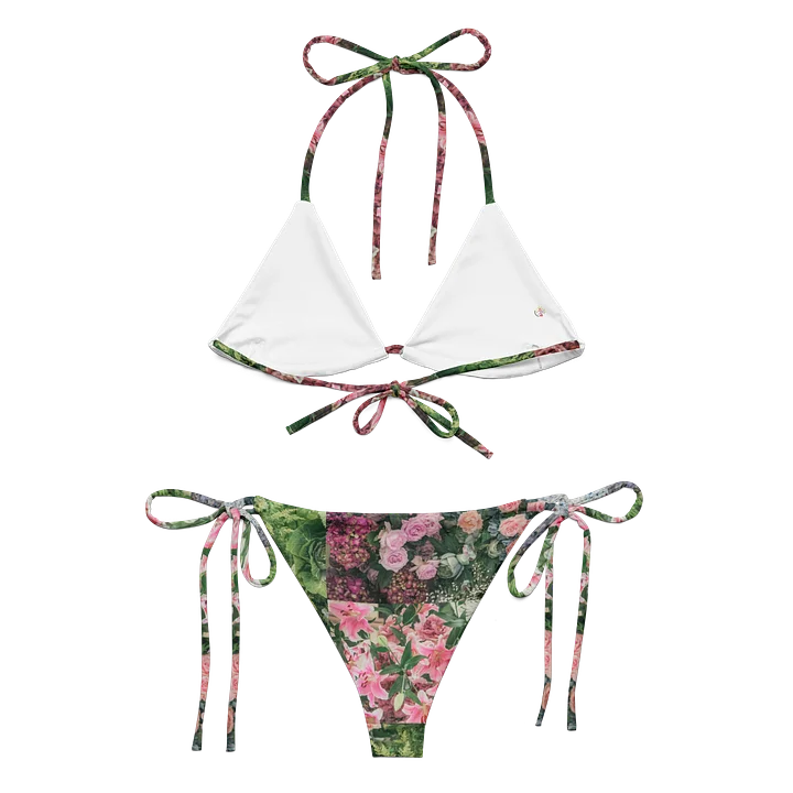 Bliss Two Piece Bikini product image (1)