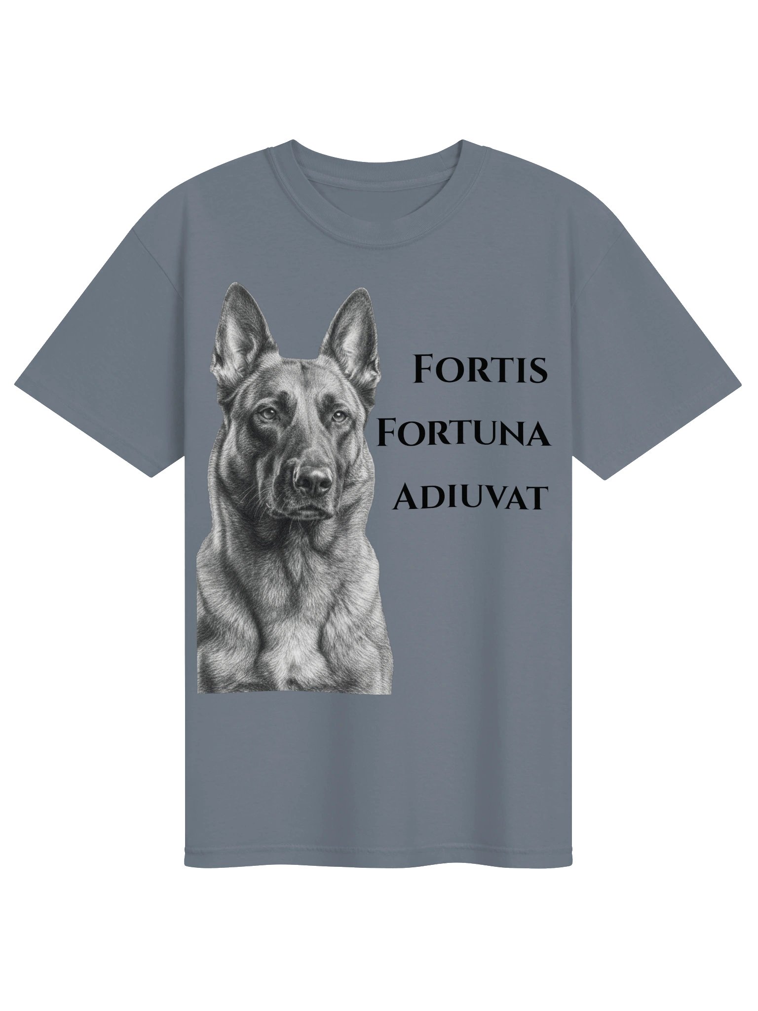 Fortune Favors the Bold product image (3)
