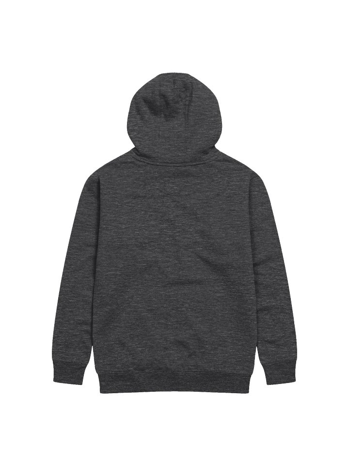 FAM HOODIE! product image (2)