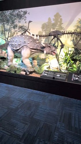 New pod up now. Feature interview is Shannon Bourke from @nationaldinosaurmuseum plus chat about @endofoakstreet and an amazi...