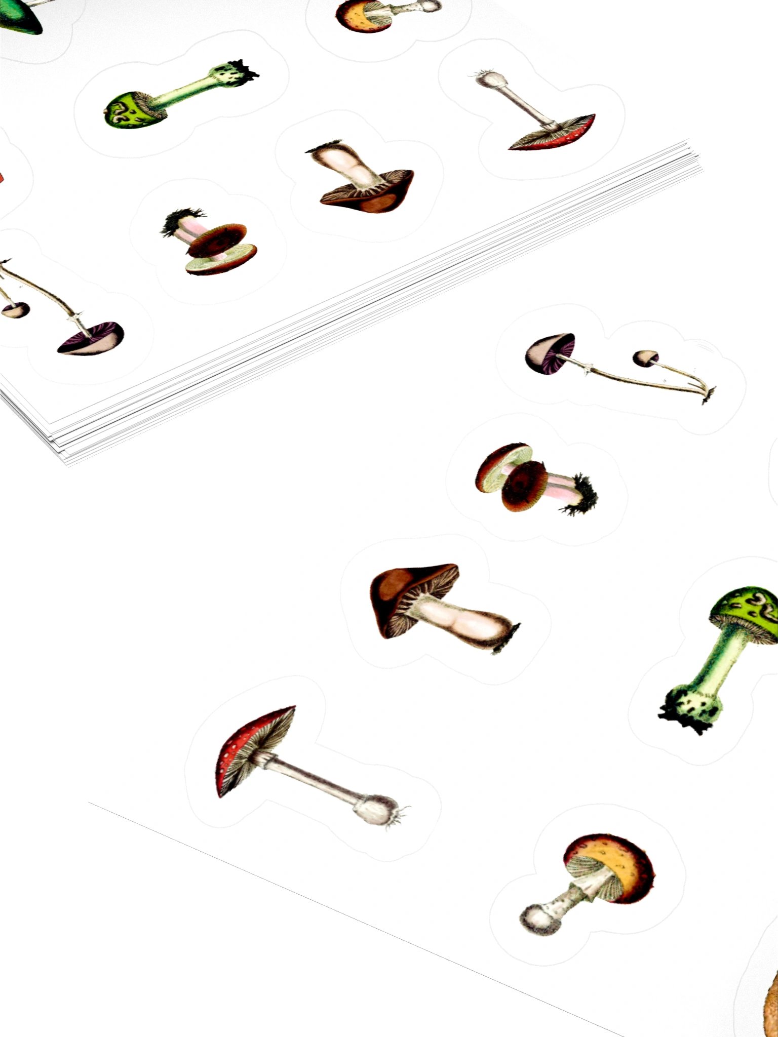 Shrooms, Part 2 product image (12)