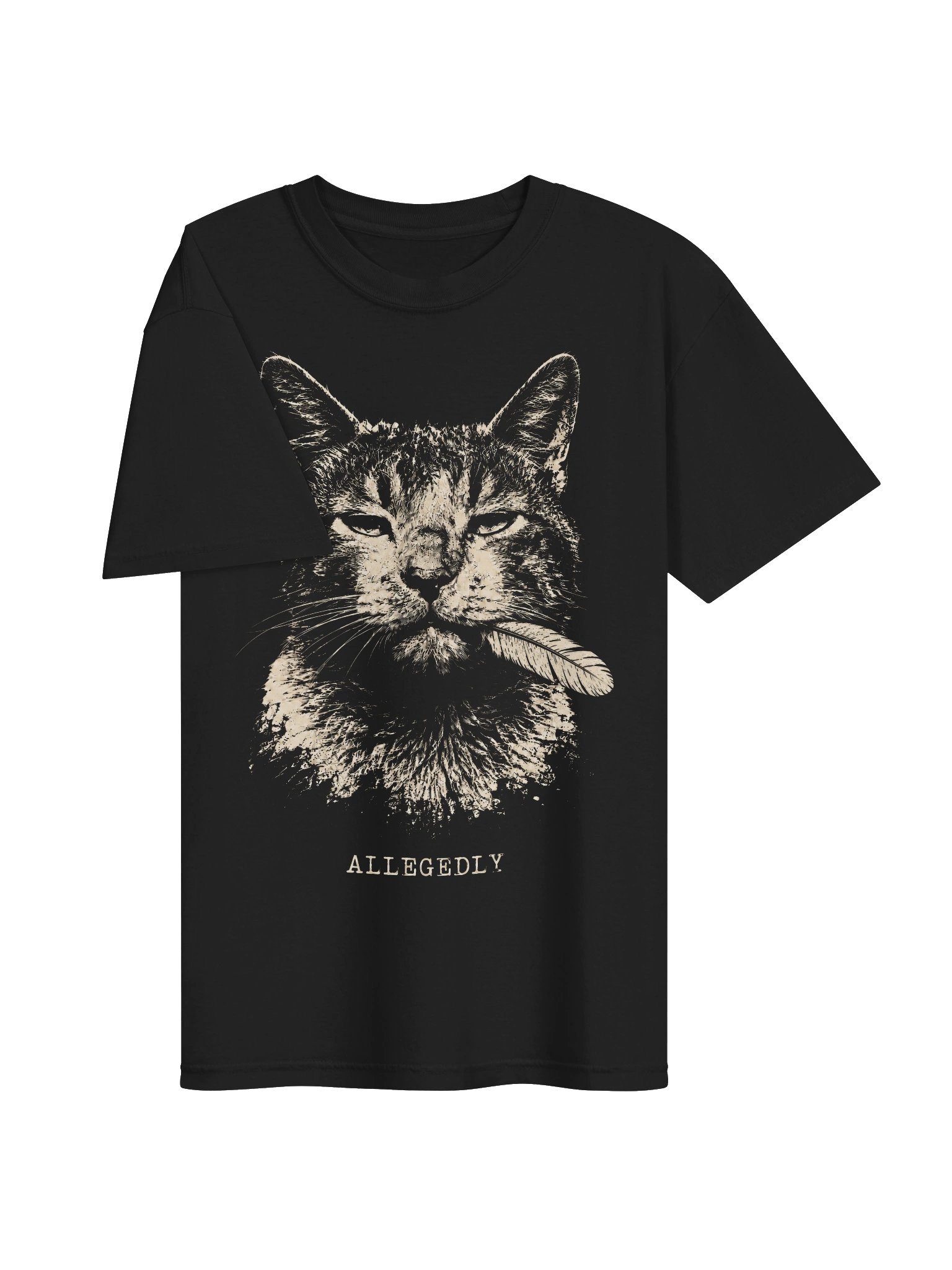 Allegedly Cat Heavyweight Graphic Tee product image (3)