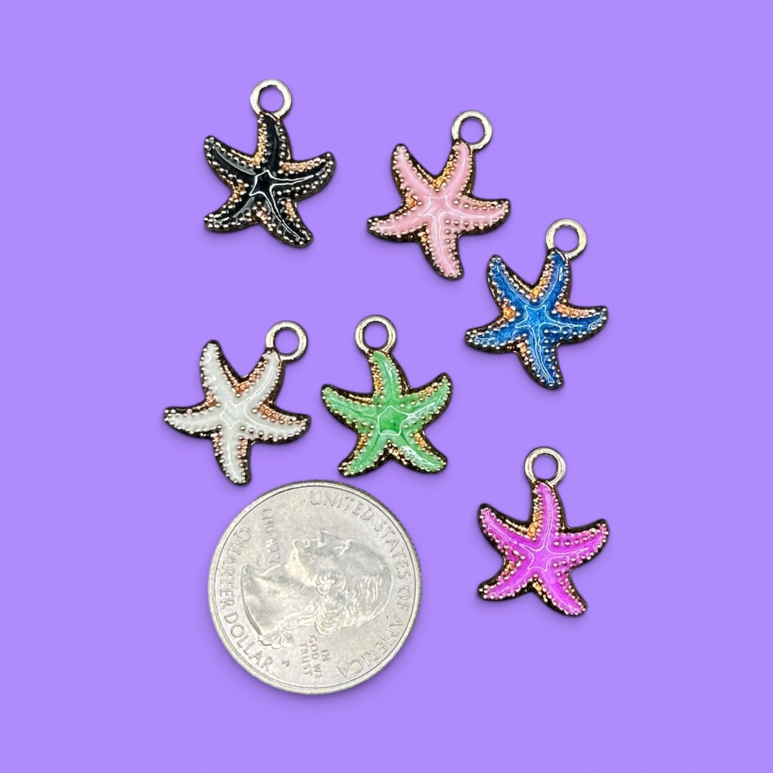 Starfish Whinny Winners Braid and Bridle Charms for Horses | Little Shop of Ponies product image (2)