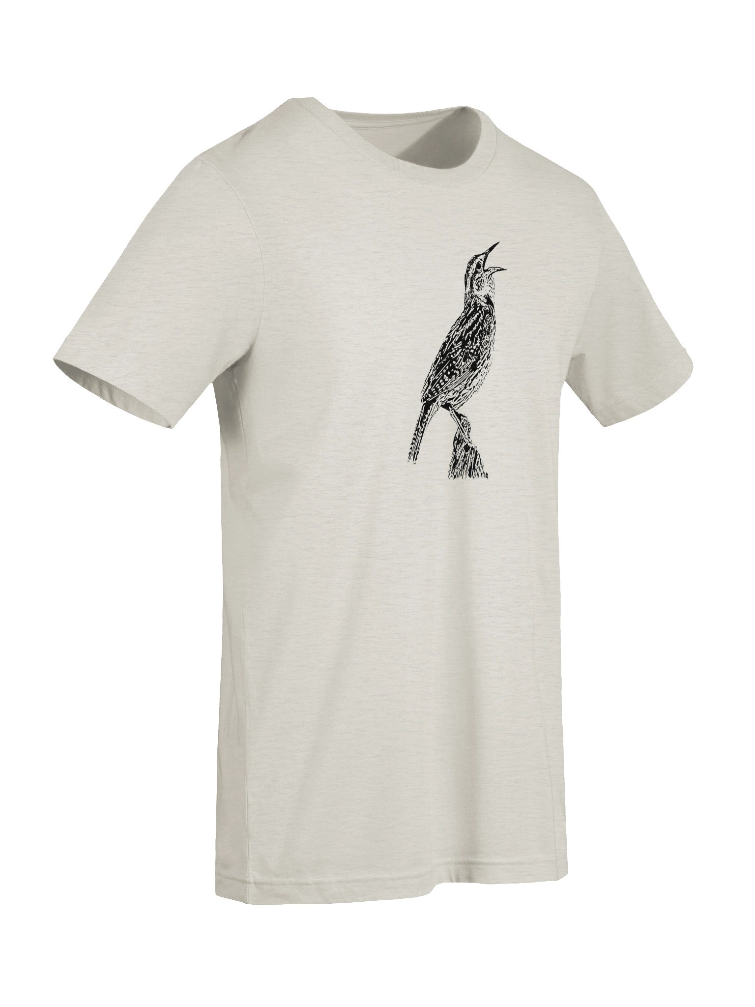 Western Meadowlark Unisex T-shirt product image (133)