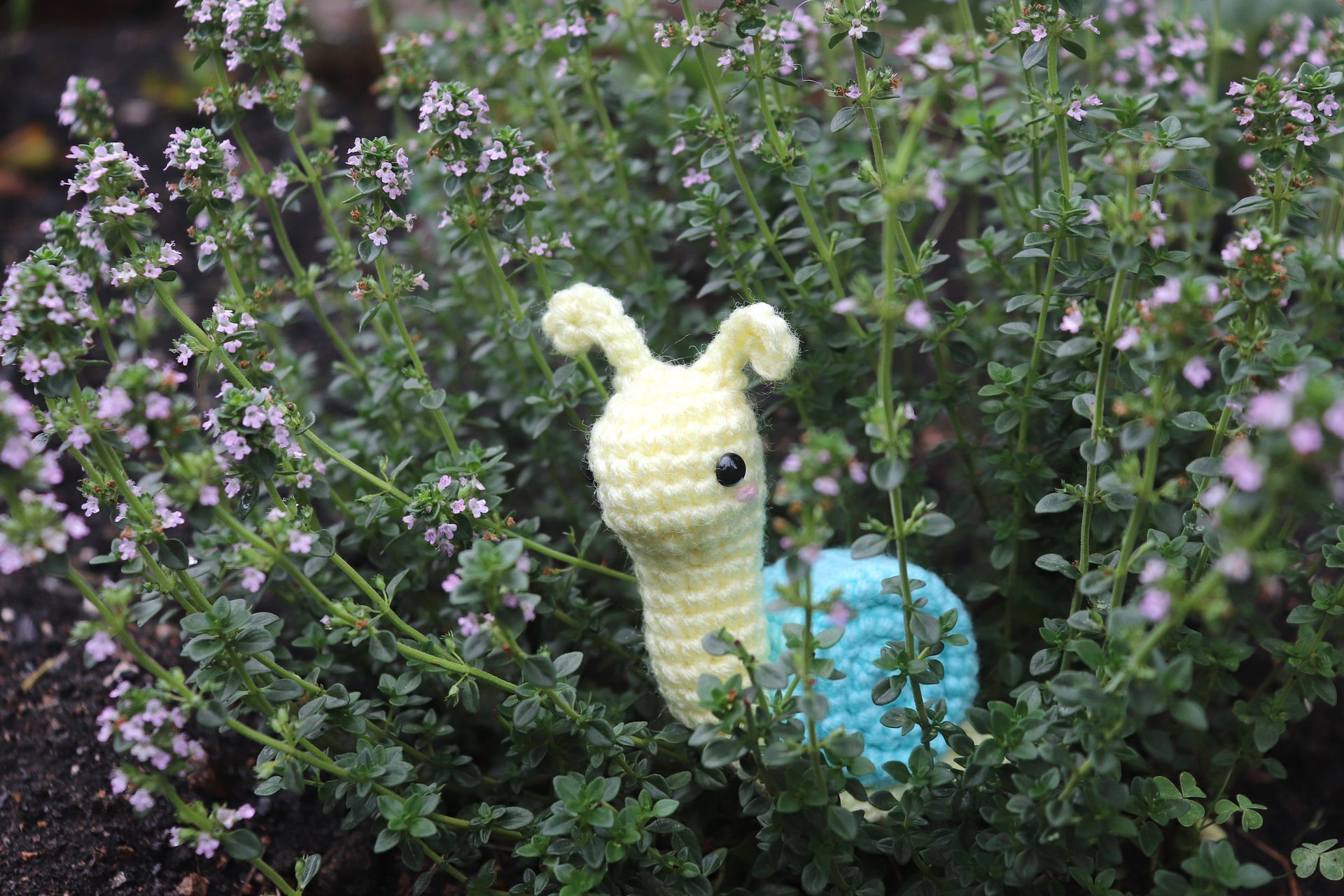 Sherbet the Snail PDF product image (2)