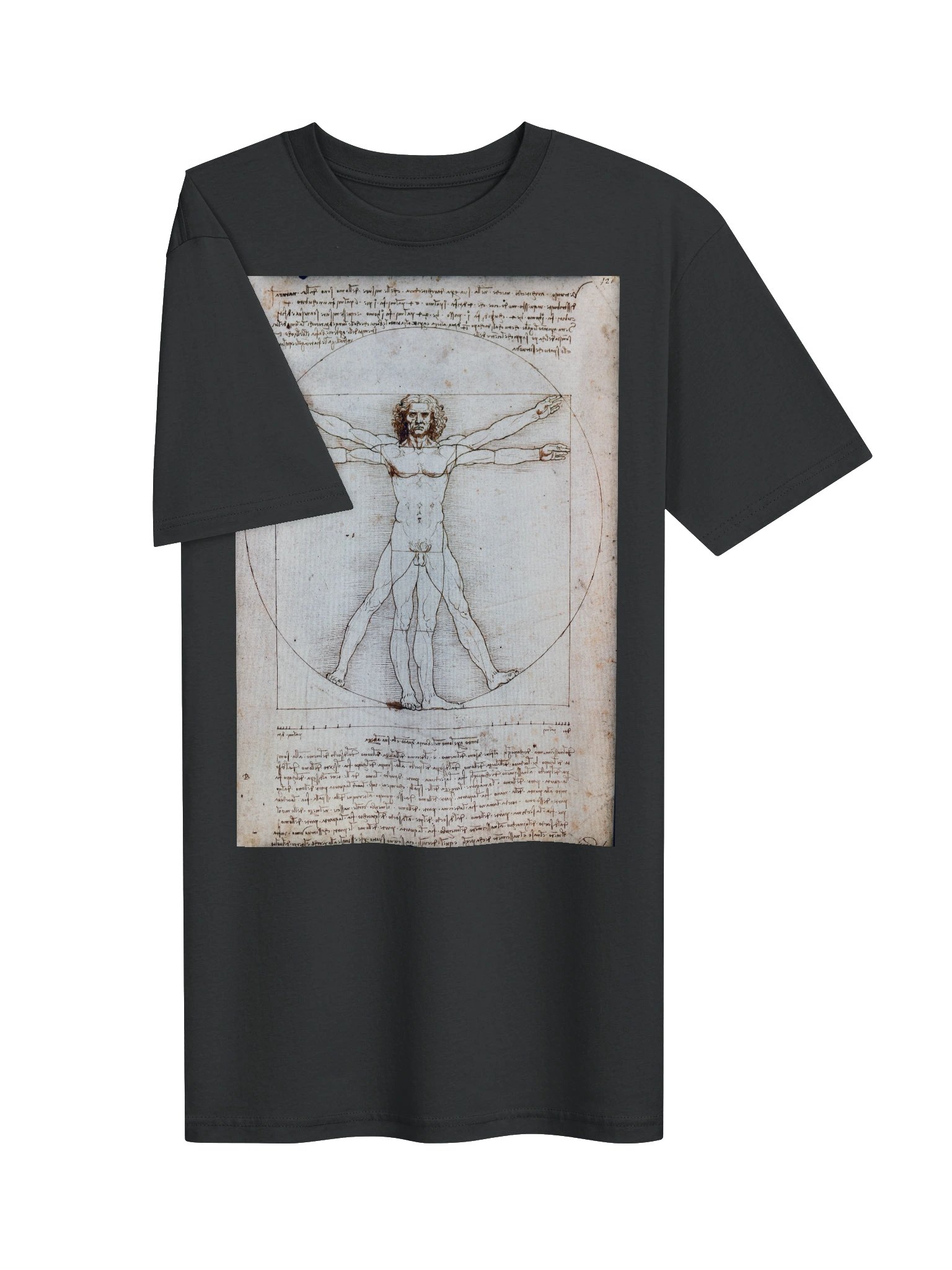 The Vitruvian Man (L'Uomo Vitruviano) Leonardo da Vinci product image (3)