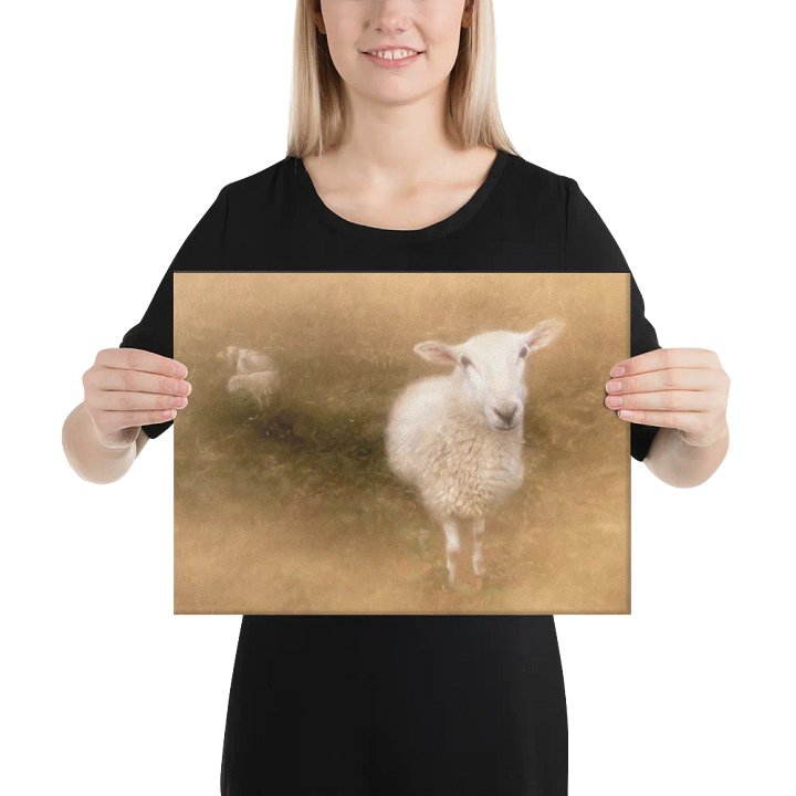 Pastoral Sheep Canvas product image (2)