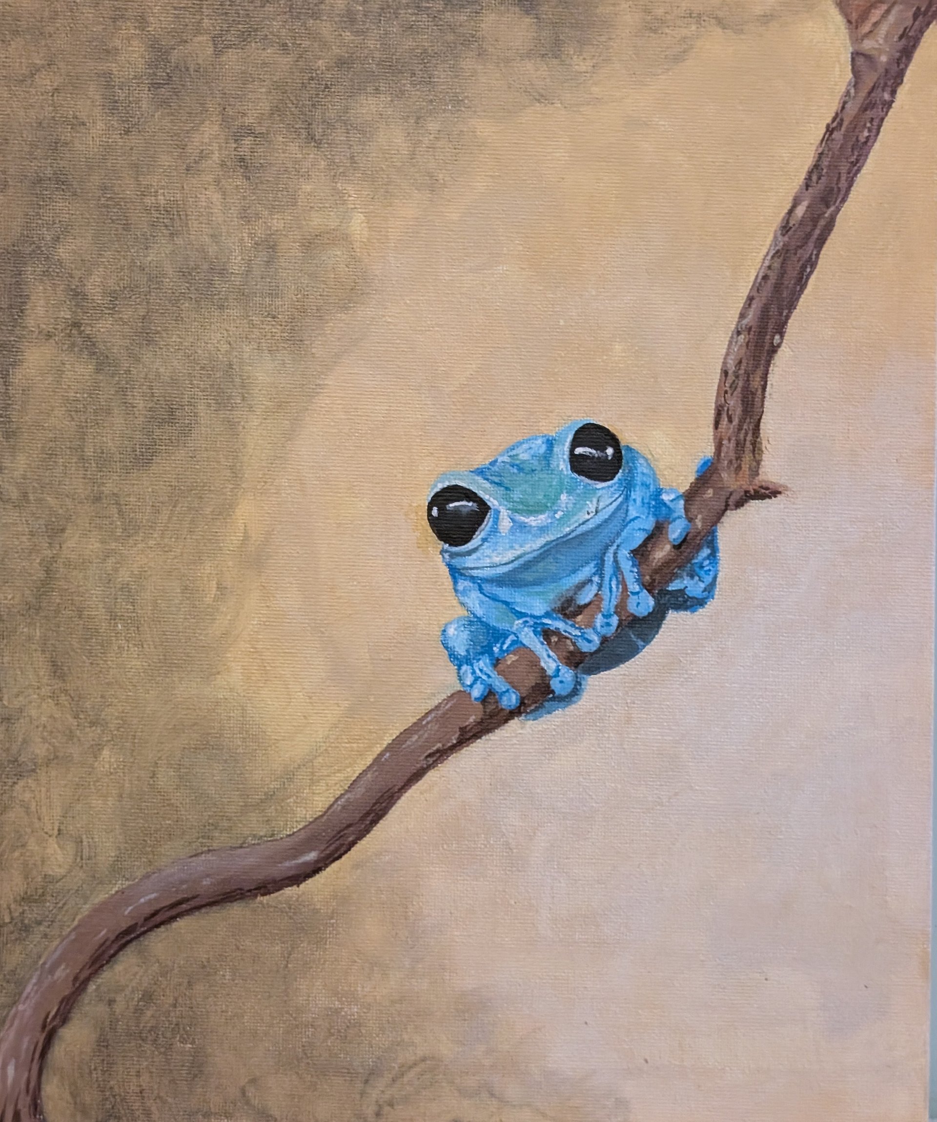 Blue Frog product image (1)