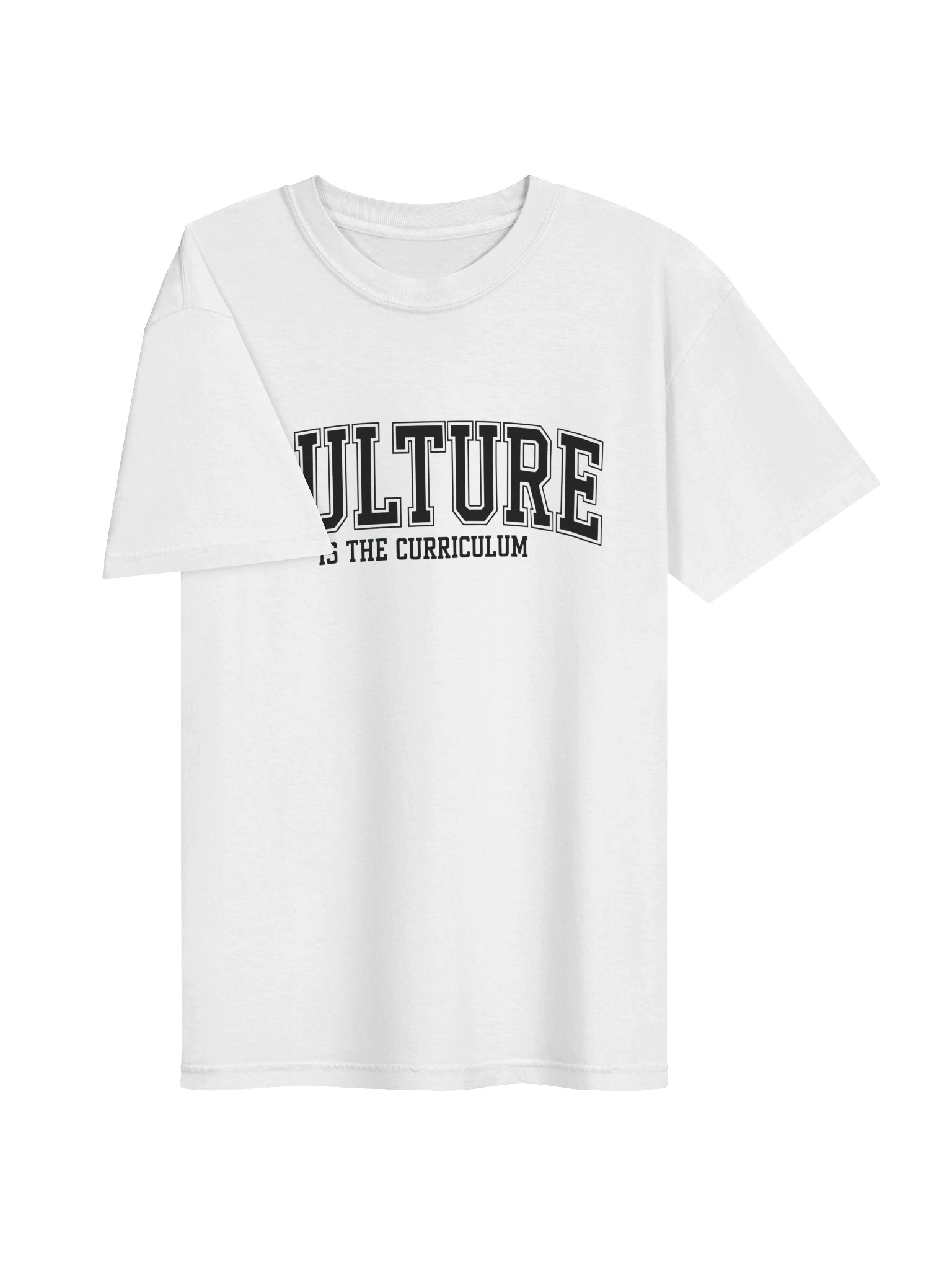 Culture Is the Curriculum T-Shirt product image (3)