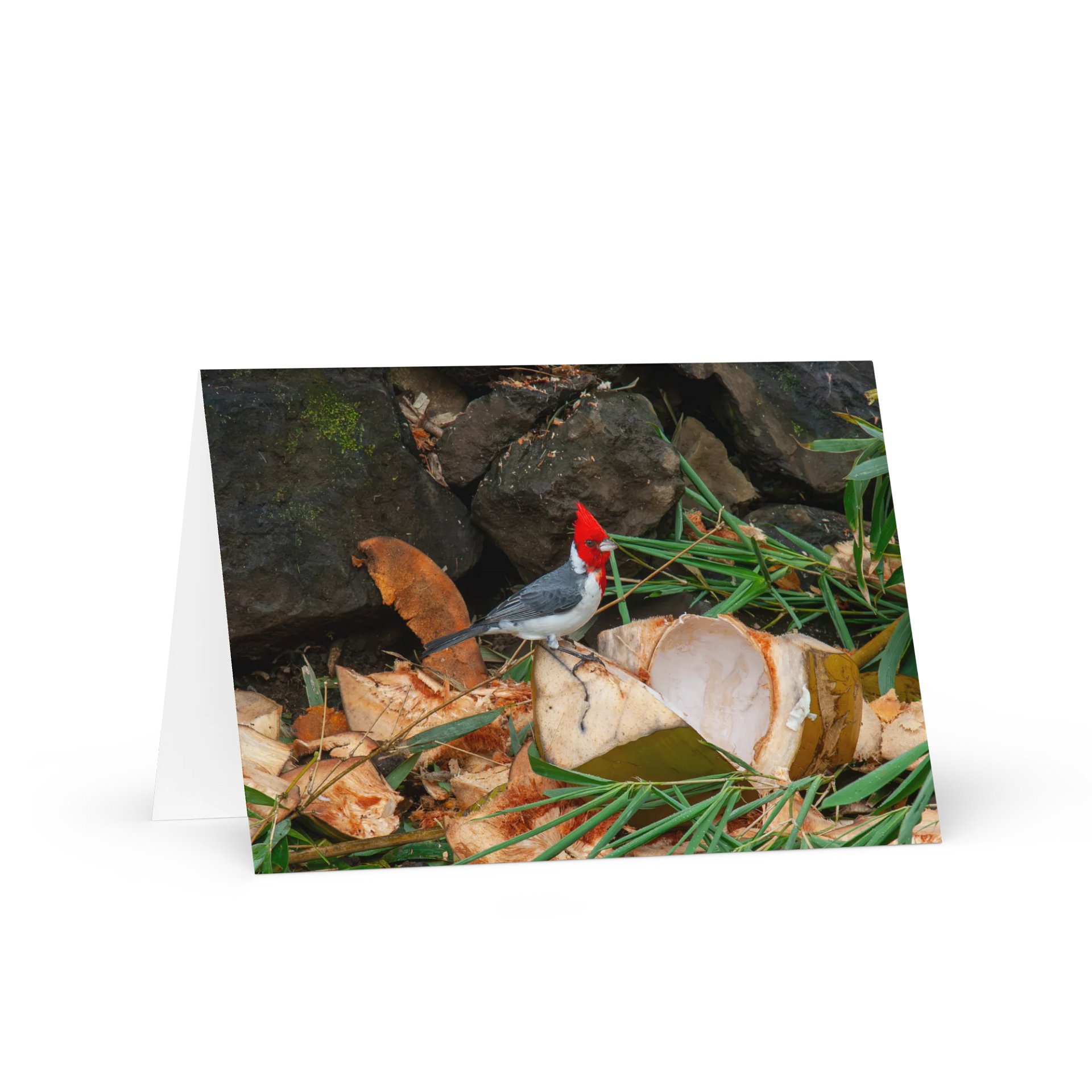 Tropical Bird Greeting Card product image (1)
