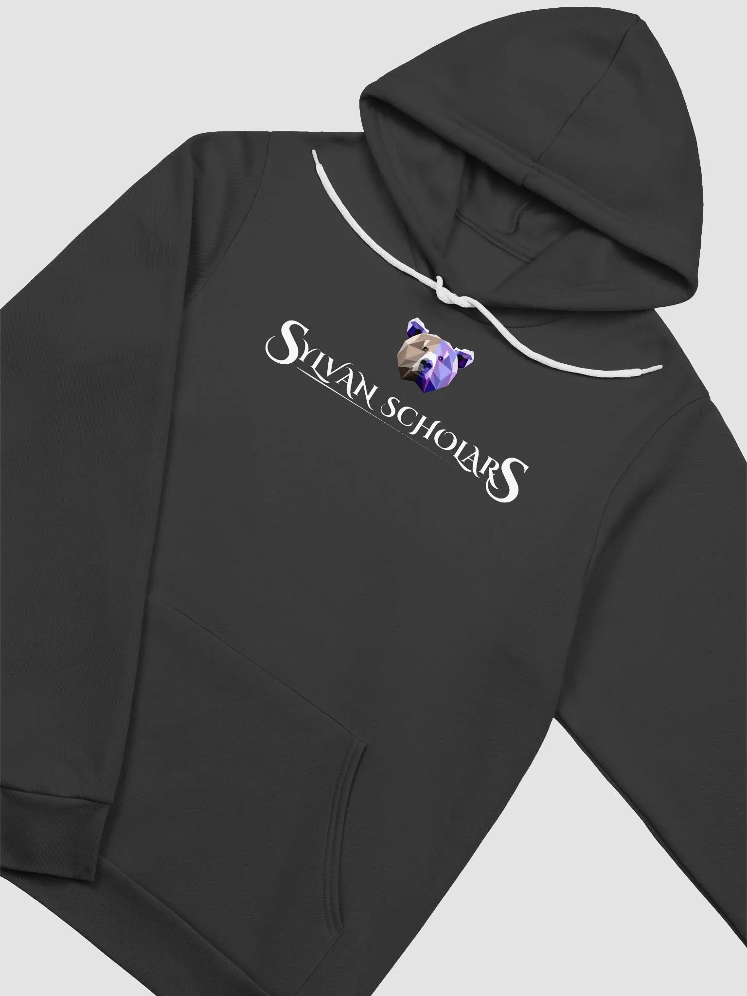 SylvanScholars Hoodie Fitted product image (12)