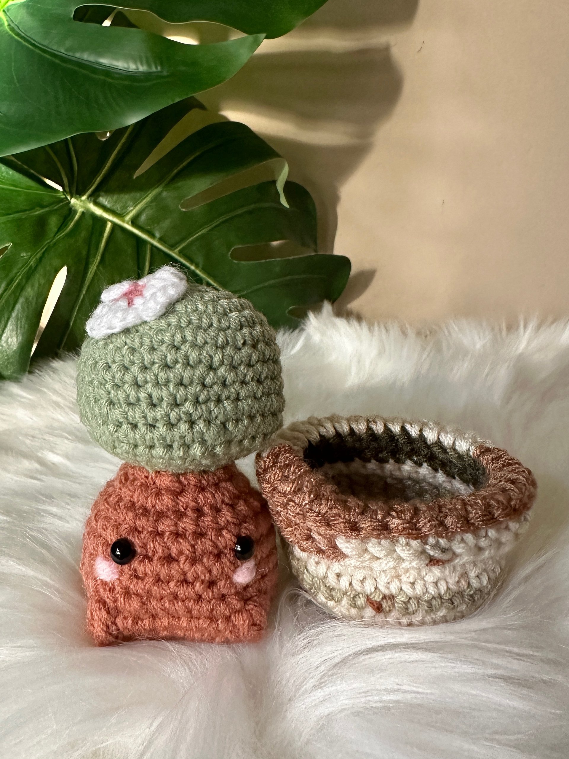 Baby Bonsai product image (1)