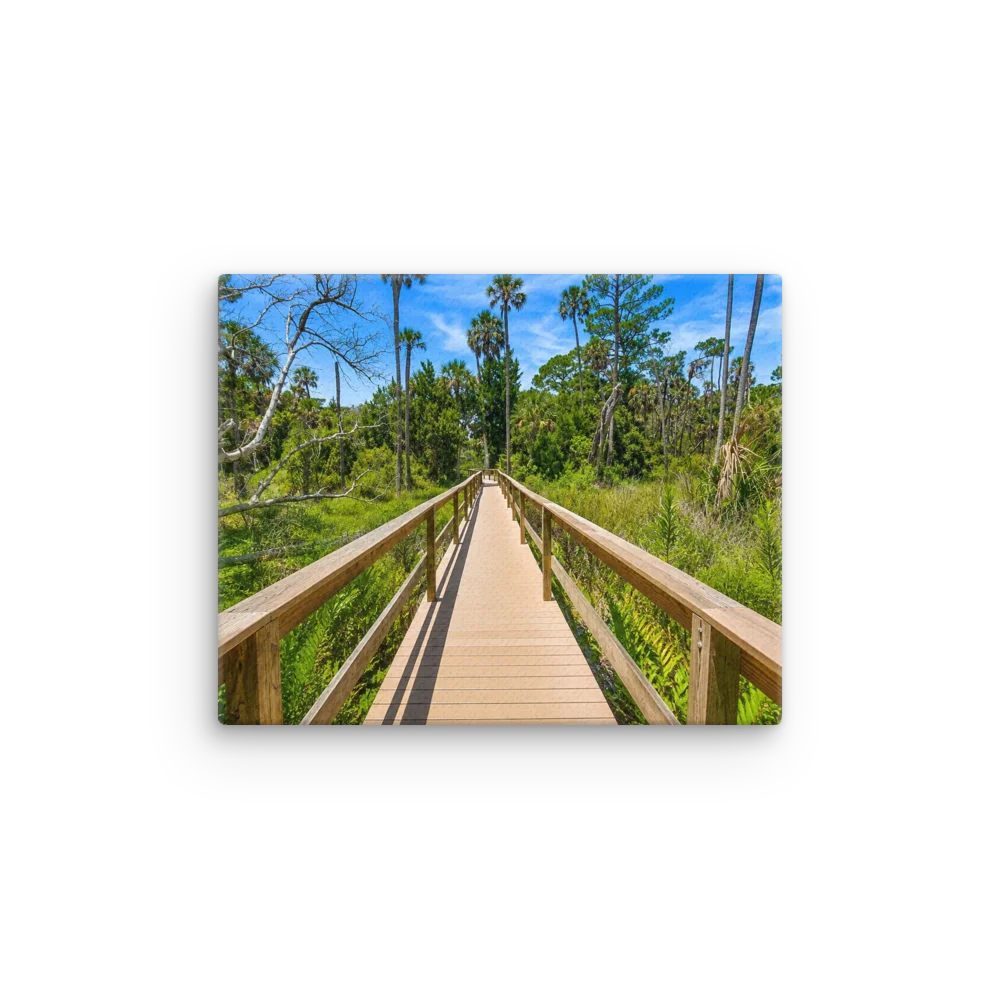 Sunlit Palm Boardwalk Canvas product image (12)