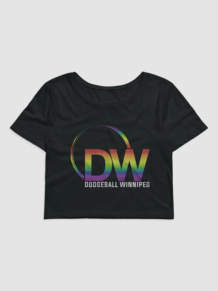 Dodgeball Winnipeg 