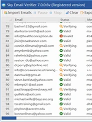 Sky Email Verifier product image (2)