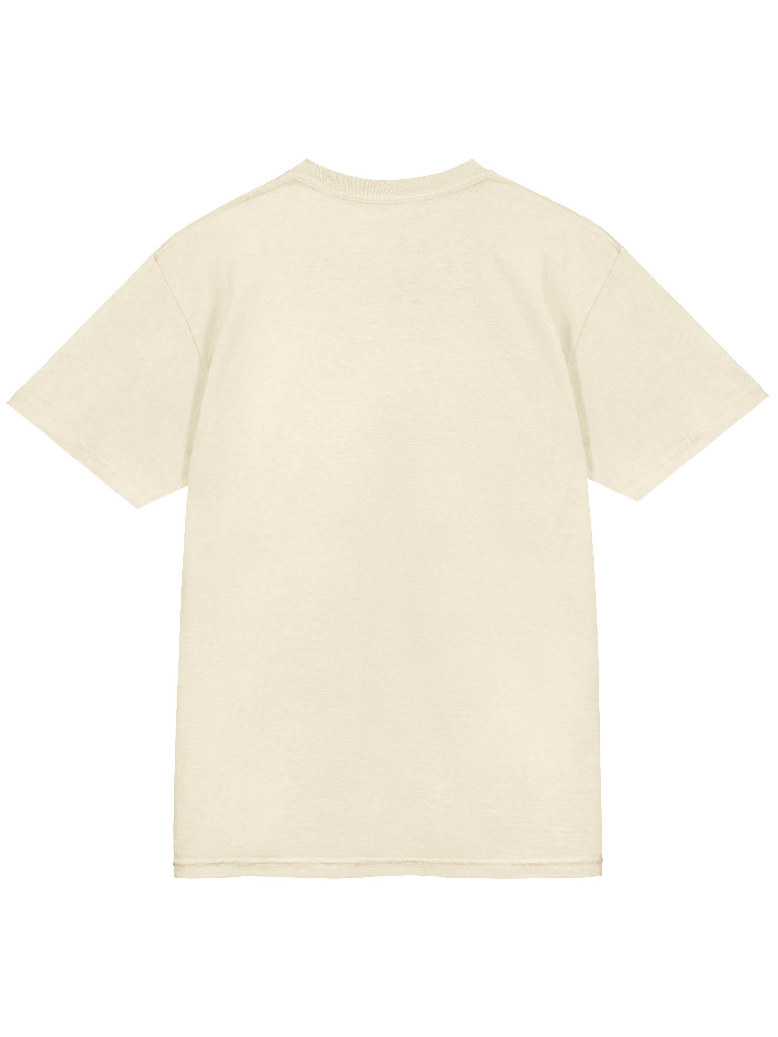 Twinkle & Little Sue: Iconic Heavyweight T-shirt product image (14)