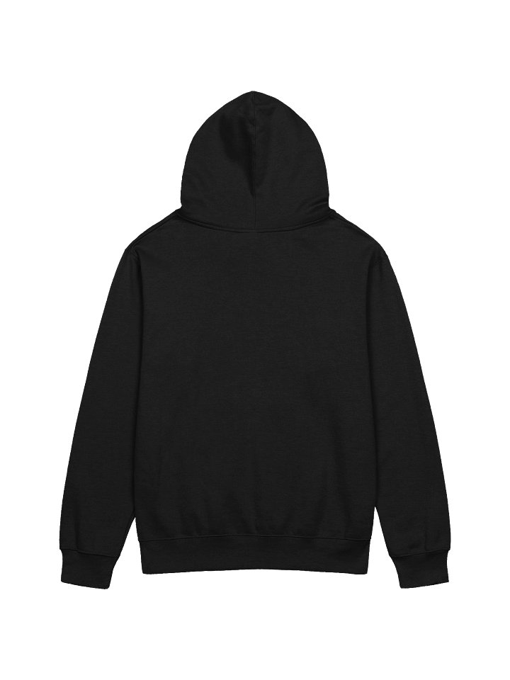 3d6 DTL Horizontal Logo on Dark Pullover Hoodie product image (4)
