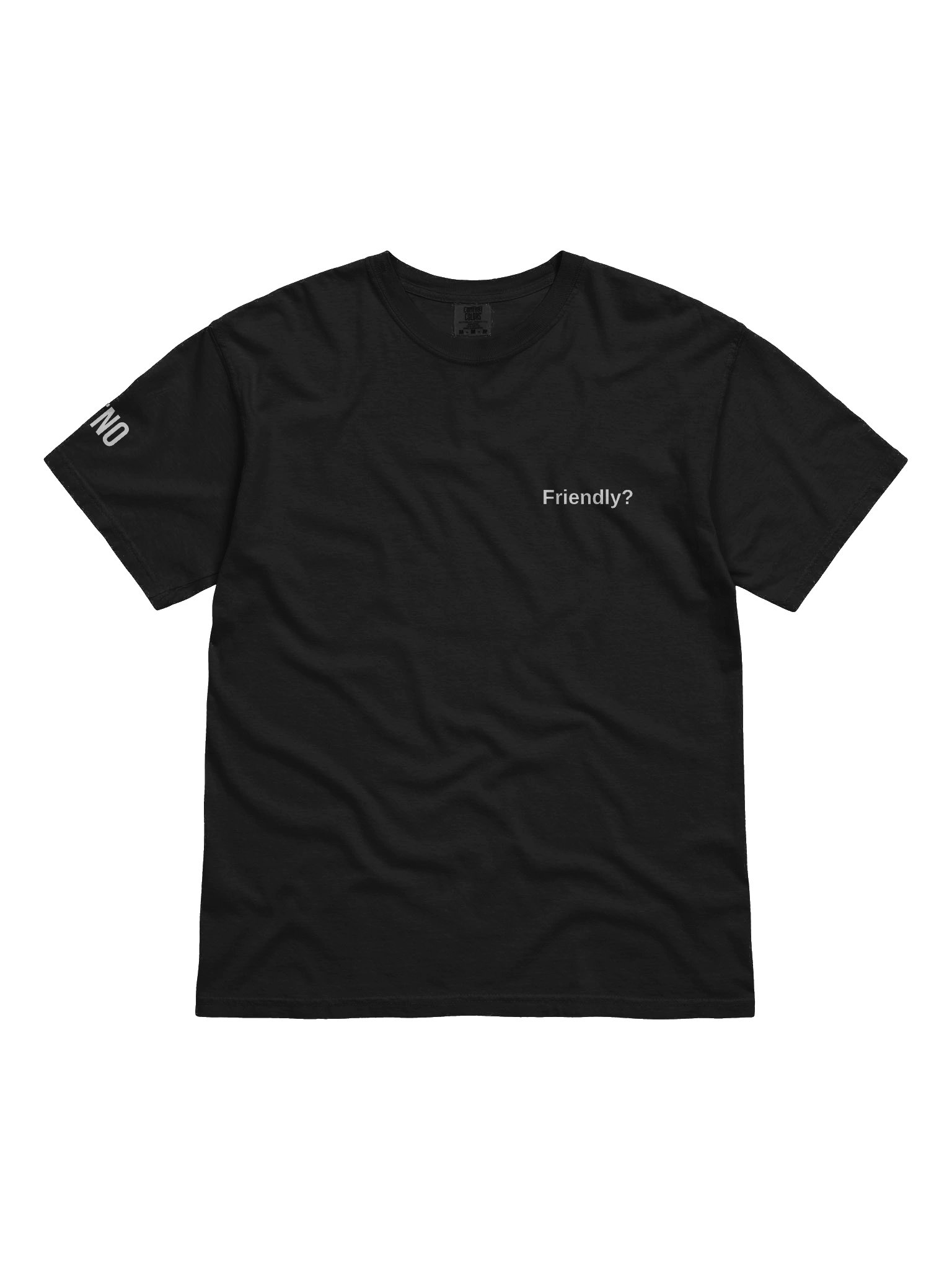 Friendly? T-Shirt product image (1)