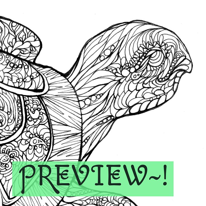 Coloring Club 4 - January 2026 Wood Turtle product image (1)