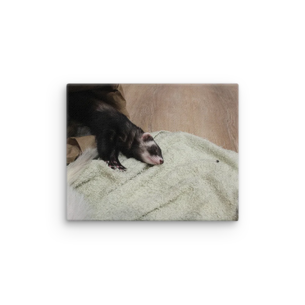 Sleeping Lucy On Canvas product image (1)