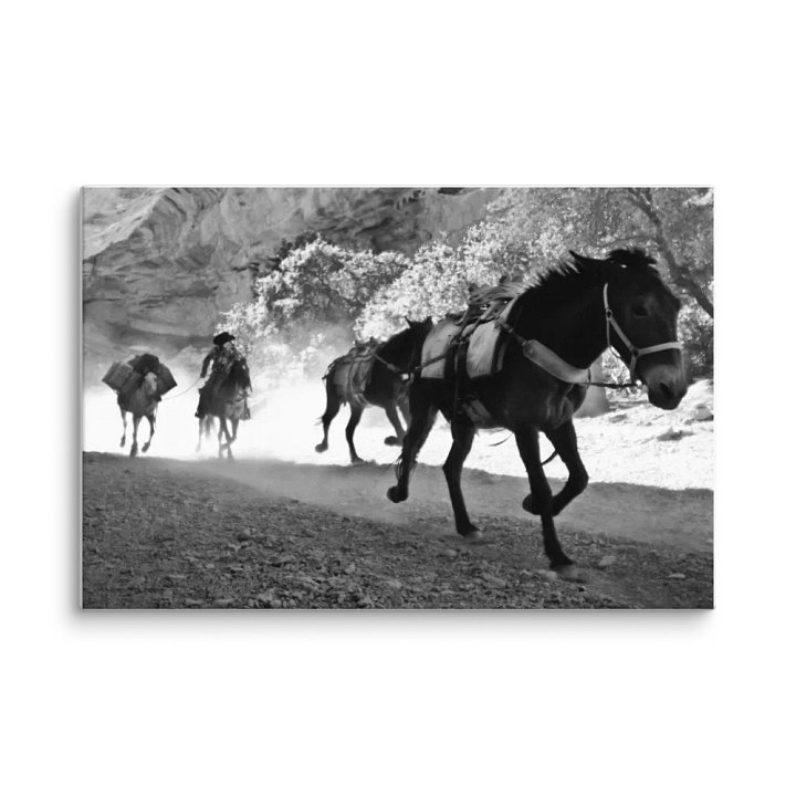 The Last Postman product image (2)