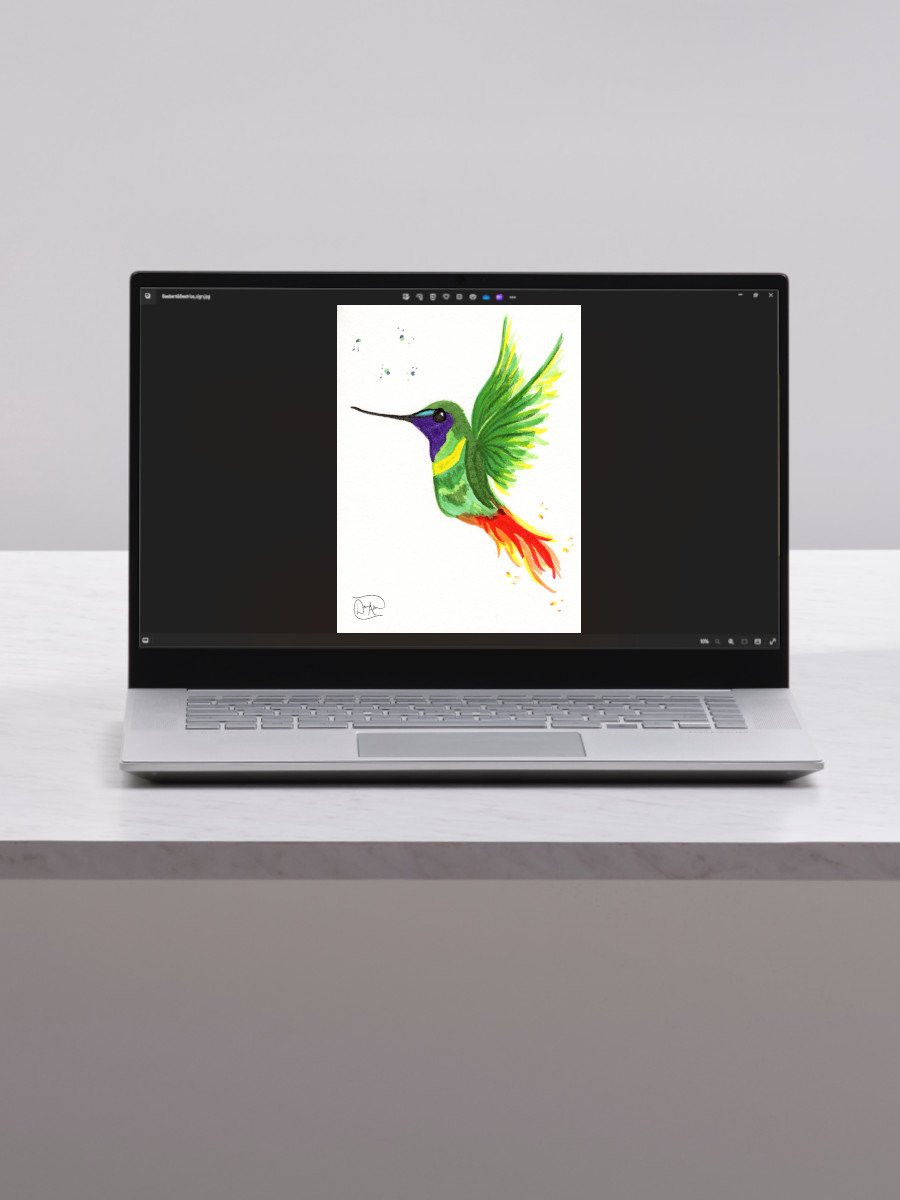 Hummingbird Watercolour Download product image (1)